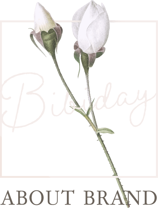 About BIBIDAY